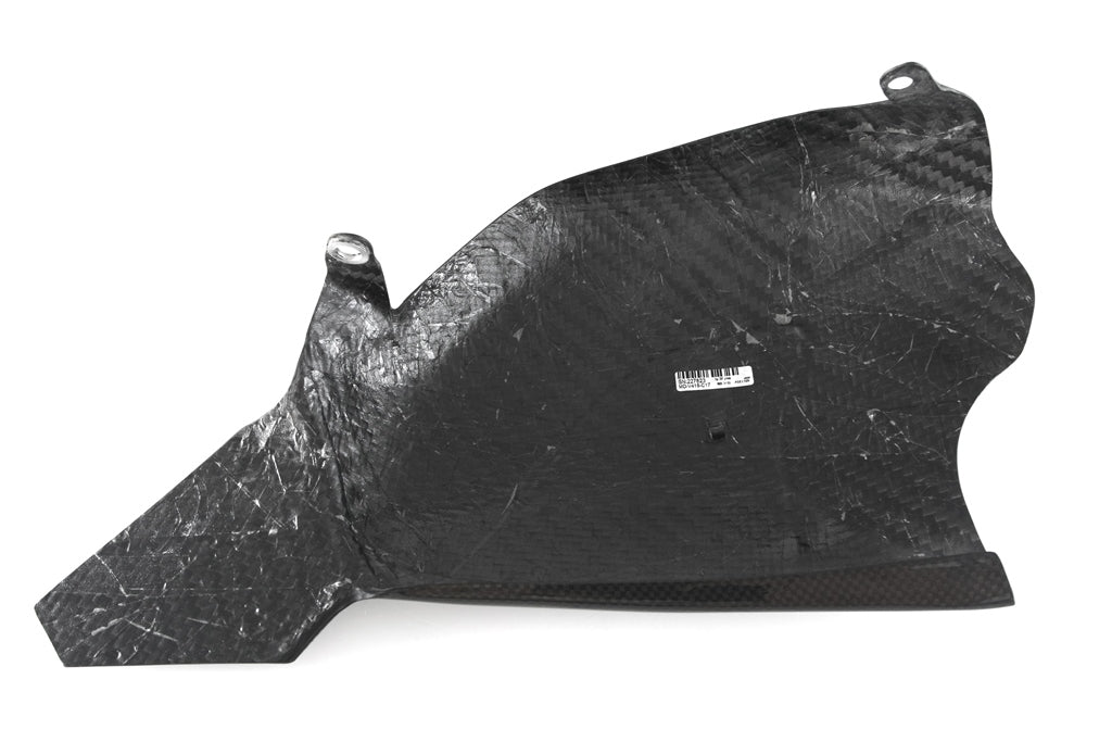 Swingarm Guard